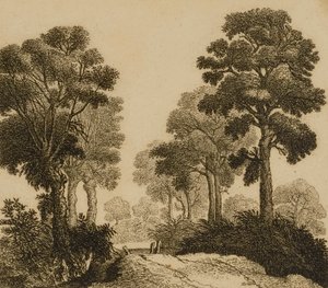 المناظر الطبيعية