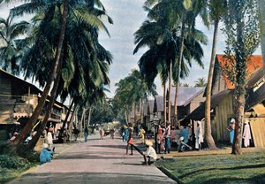 الشارع في بورت بلير ، جزر أندامان ونيكوبار ، المحيط الهندي ، c1890 بواسطة جيلو