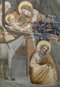 الميلاد ، تفاصيل العذراء والطفل ، الحمار ويوسف ، 1303-05 (بعد الترميم) بواسطة جيوتو دي بوندوني