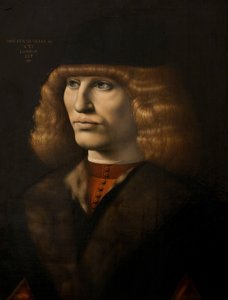 Portrait of a young man, c.1500 (oil on panel) بواسطة جيوفاني أنطونيو بولترافيو