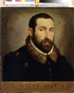صورة لرجل. صورة لرجل. لوحة لجيوفان باتيستا موروني (1520 / 25-1578) ، حوالي 1560. الفن الإيطالي ، عصر النهضة. زيت على قماش. متحف هيرميتاج ، سانت بطرسبرغ بواسطة جيوفاني باتيستا موروني