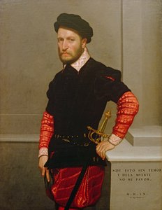 صورة دون غابرييل دي لا كويفا ، دوق ألبوكيركي (1525-1571) 1560