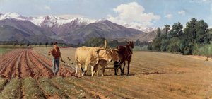 الحرث بواسطة جيوفاني باتيستا كوادرون