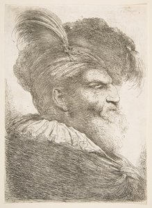 رأس رجل عجوز يواجه اليمين ، من سلسلة الرؤوس الشرقية الكبيرة ، كاليفورنيا. 1645-1650. بواسطة جيوفاني بينيديتو كاستيجليون