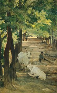 شارع مع الثيران و Stonebreaker ، بقلم جيوفاني فاتوري (1825-1908) بواسطة جيوفاني فاتوري