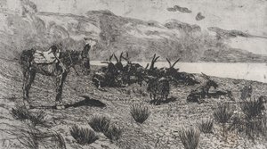 حمار وماعز على شاطئ البحر في الشتاء ، 1884-1908. بواسطة جيوفاني فاتوري