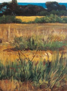 Italy, Florence, Maremma Toscana, circa 1894, detail بواسطة جيوفاني فاتوري