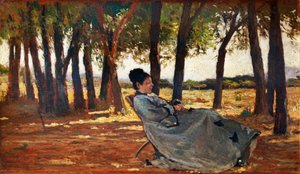 سيدتي مارتيلي كاستيليونسيلو ، حوالي عام 1867 ، بقلم جيوفاني فاتوري (1825-1908) ، زيت على لوح ، 20 × 33 سم بواسطة جيوفاني فاتوري
