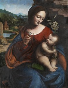 العذراء والطفل مع الزنبق حوالي 1510-20 (زيت على لوح) بواسطة Giovanni Pietro Rizzoli (Attr. to) Giampietrino