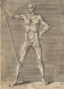 رجل مسلوق ينظر من أمامه ممسكًا بعصا ، كاليفورنيا. 1531-76.