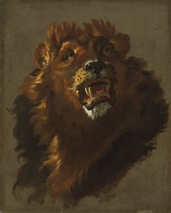 الأسد ، 1750.