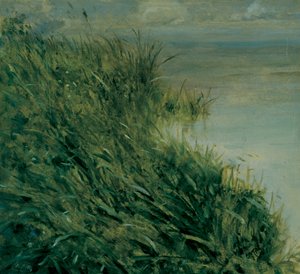 Study of marsh بواسطة جوزيبي أو جوزيف دي نيتيس