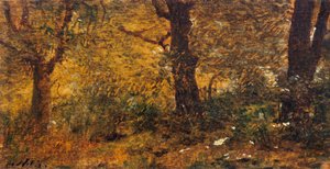 Study of wood بواسطة جوزيبي أو جوزيف دي نيتيس