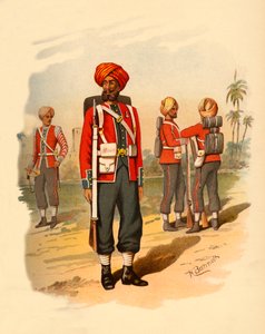 السيخ الخامس عشر ، 1890. بواسطة جودفري دوجلاس جايلز