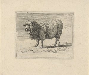 حيوانات رام منوعة (عنوان المسلسل) بواسطة جوفيرت فان دير ليو