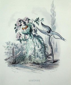 الزعرور ، من "Les Fleurs Animees" ، نقش بواسطة Charles Geoffroy (1819-1882) بواسطة جراندفيل
