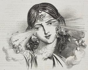 جمال أنثوي ، رسم كاريكاتوري لجان جاك غراندفيل (1803-1847) ، مطبوعة حجرية لغايتانو ريتشيو من بوليوراما بيتوريسكو ، رقم 20 ، 24 ديسمبر بواسطة جراندفيل