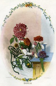 رسم توضيحي ل "Les Fleurs Animees" (أزهار الأنمي)