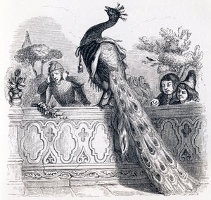 الطاووس يشكو إلى Junon - Fables بواسطة La Fontaine بواسطة جراندفيل