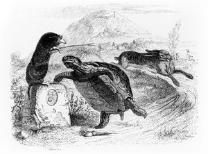 الأرنب والسلحفاة ، رسم توضيحي لـ "خرافات" لافونتين ، نشرها H. Fournier Aine ، 1838