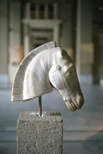 رأس حصان (رخام)