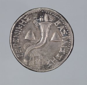الفضة Didrachma من Berenice II (الفضة) (انظر أيضًا 293751) بواسطة اليونانية