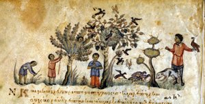 الصيد بالصقور لالتقاط الطيور - في "De Venatione" لأوبيانوس ، مخطوطة يونانية من القرن الثالث عشر. مكتبة مارسيانا. مدينة البندقية بواسطة المدرسة اليونانية