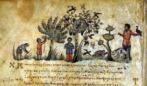 الصيد بالصقور والتقاط أعشاش الطيور. مخطوطة يونانية لـ Oppianus De Venatione من القرن الثالث عشر. بواسطة المدرسة اليونانية
