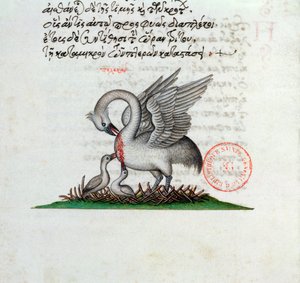 السيدة 3401 ثقب البجع ثدييها لإطعام صغارها ، من Bestiary بقلم مانويل فيليس ، 1566 بواسطة المدرسة اليونانية