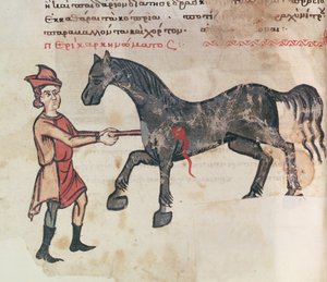 Ms Grec 2244 fol.37v التشغيل على الحصان بواسطة المدرسة اليونانية