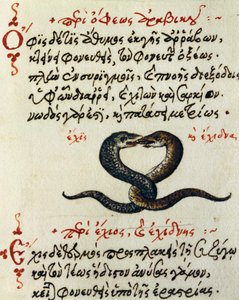 Snake coupling, test and miniature from De animalium natura et proprietate libellus, by Aelianus (2nd-3rd century AD) بواسطة المدرسة اليونانية