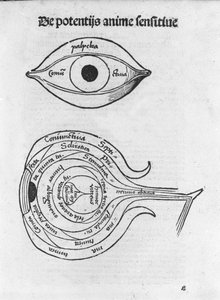 دراسة عين الرجل. لوحة تشريحية من "مارغريتا فيلوسوفيكا" لجريجور ريش (1467-1525) ، بيل 1517.