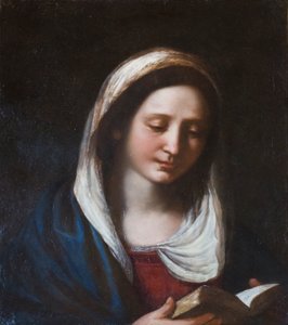 تعلن العذراء