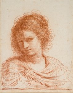 رأس امرأة شابة ، 1550-1666