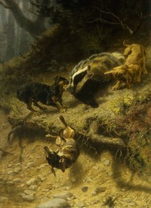 الكلاب الألمانية على Badger ، 1882 بواسطة Guido von Maffei