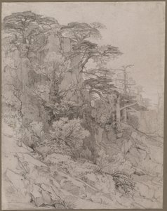 أشجار روكي هيل سايد بواسطة Gustave Achille Guillaumet