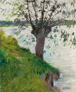 الصفصاف على ضفاف النهر ؛ Saule au bord de la riviere، c. 1891 بواسطة غوستاف كايليبوت