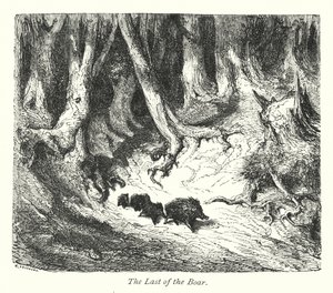 آخر الخنزير البري (نقش) بواسطة غوستاف دور