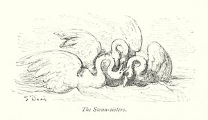 الأختان البجعة (نقش) بواسطة غوستاف دور