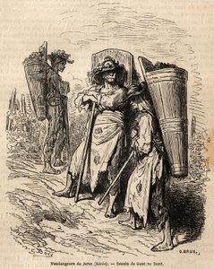 جامعي Xeres. رسم غوستاف دوري (1832-1883) ، لتوضيح رحلته إلى إسبانيا عام 1862 ، مع تش. دافيلير. نقش في "" Le Tour du monde "، تحرير إدوارد شارتون بواسطة غوستاف دور