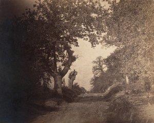 فونتينبلو ، مسار رملي صعودًا ، كاليفورنيا. 1856. بواسطة غوستاف ليجراي
