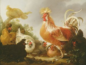 كوكريل والدجاج في المناظر الطبيعية ، 1649 بواسطة Gysbert Hondecoeter