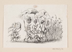 رسم توضيحي لـ "Den lille Idas Blomster" في HC Andersen ، "Fairy Tales and Stories" ، المجلد 1 بواسطة إدوارد كريتزشمار