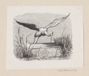 رسم توضيحي لـ "Storks" في HC Andersen ، "Eventyr og Histoire" ، المجلد 1 بواسطة إدوارد كريتزشمار