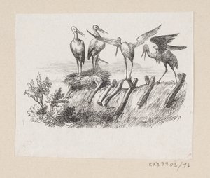 رسم توضيحي لـ "Storks" في HC Andersen ، "Eventyr og Histoire" ، المجلد 1 بواسطة إدوارد كريتزشمار