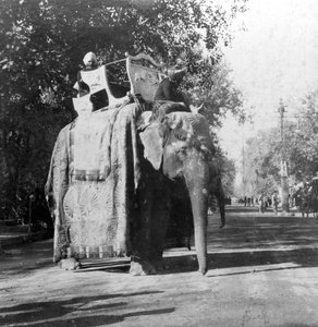 فيل خارج محطة السكة الحديد في دلهي ، الهند ، 1900s.