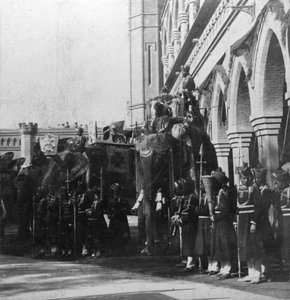 الفيل الملك ، دلهي ، الهند ، 1900s.