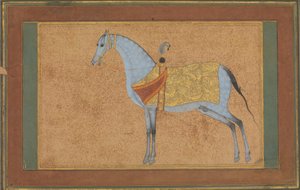 الفحل ، كاليفورنيا. 1601-6. بواسطة حبيب الله من سافا