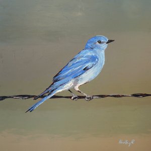 شبر، حوالي عام 2025 (زيت على الماسونيت)