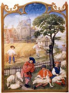 العمل الحقلي ، قص الأغنام والفلاحين جز القمح. تم تعيين الصورة المصغرة لـ Memling. لوحة مرسومة من Breviaire Grimani من القرن الخامس عشر. مكتبة مارسيانا ، البندقية. بواسطة هانز (Attr.to) Memling